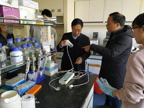 筑牢安全防線，守護科研凈土——黃海水產研究所圓滿完成元旦節前安全大檢查